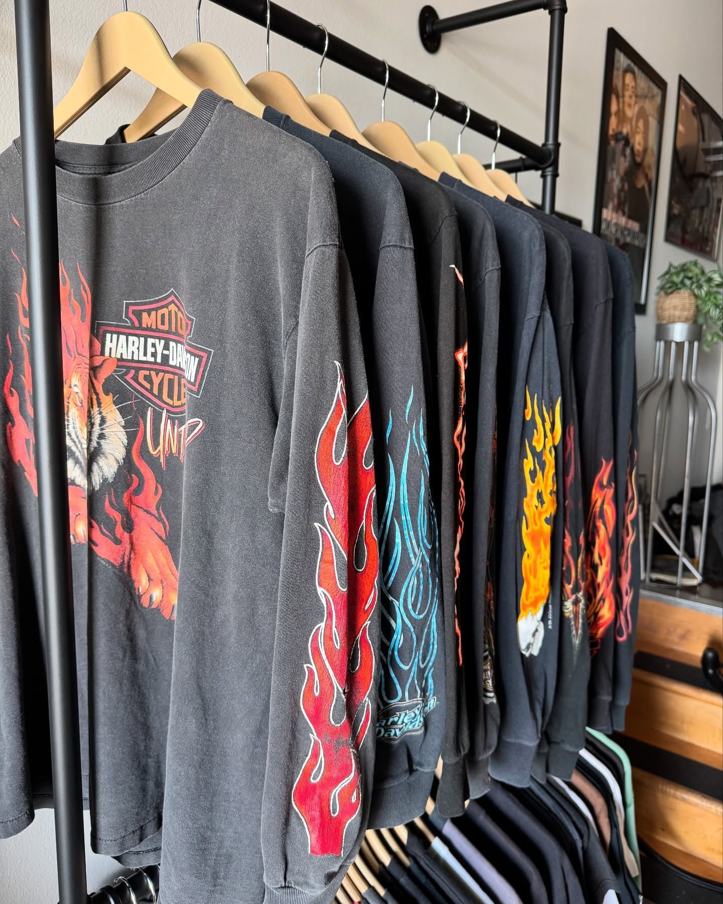 New Drop