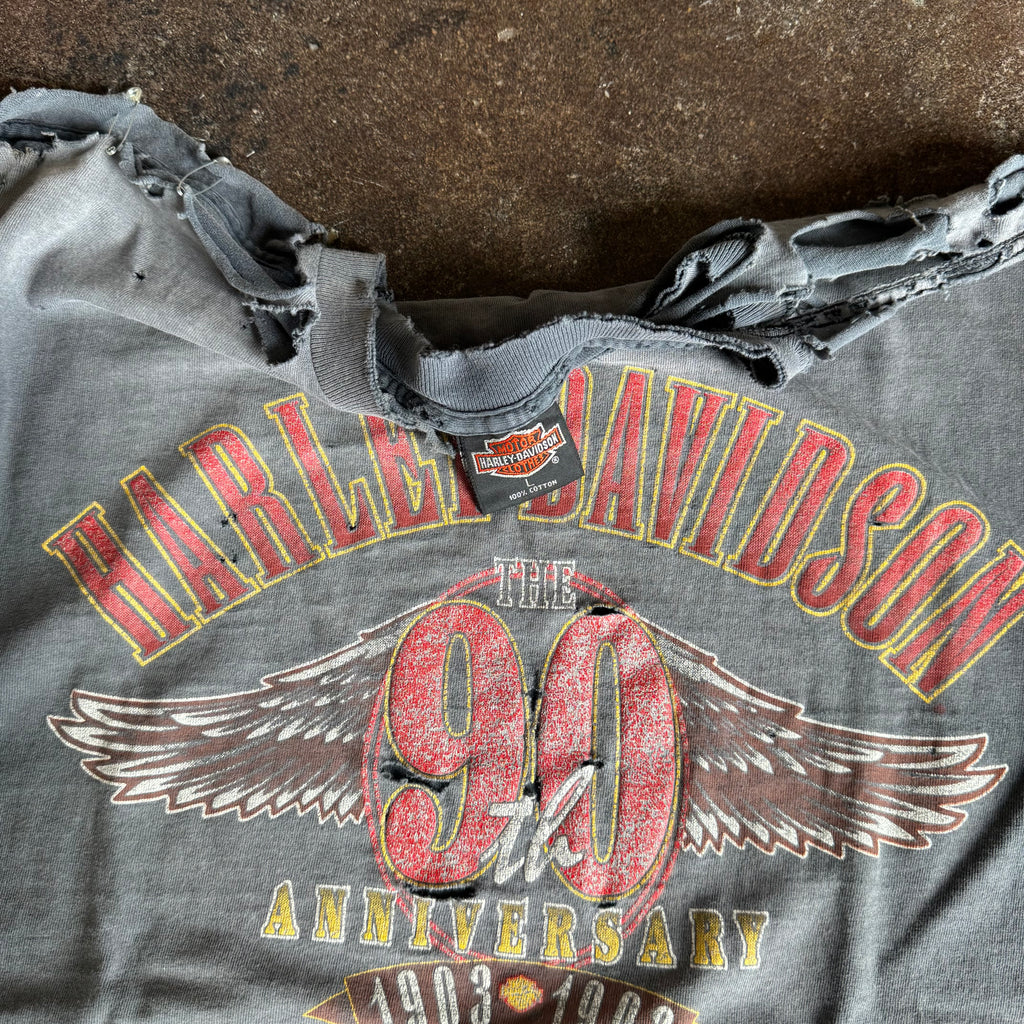 90’s Harley Faded & Thrashed Anniversary Tee (L/XL)