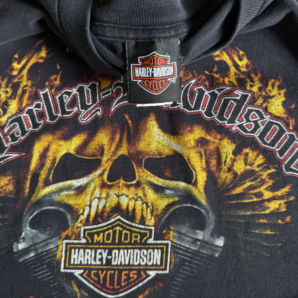 Y2K Harley Davidson Flaming Skull Wisconsin Tee (XL)