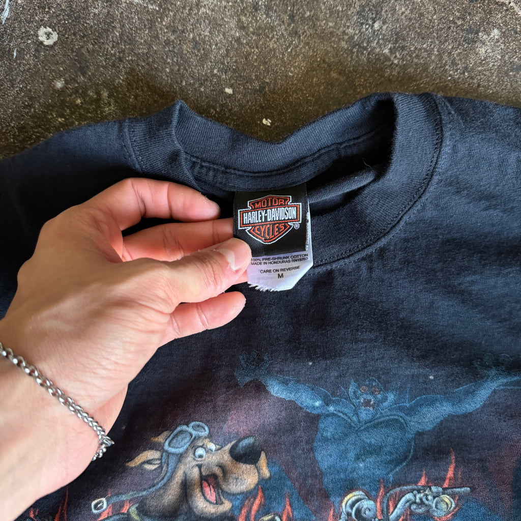 Y2K Harley Scooby Doo & Looney Tunes Flame Longsleeve (M/L)