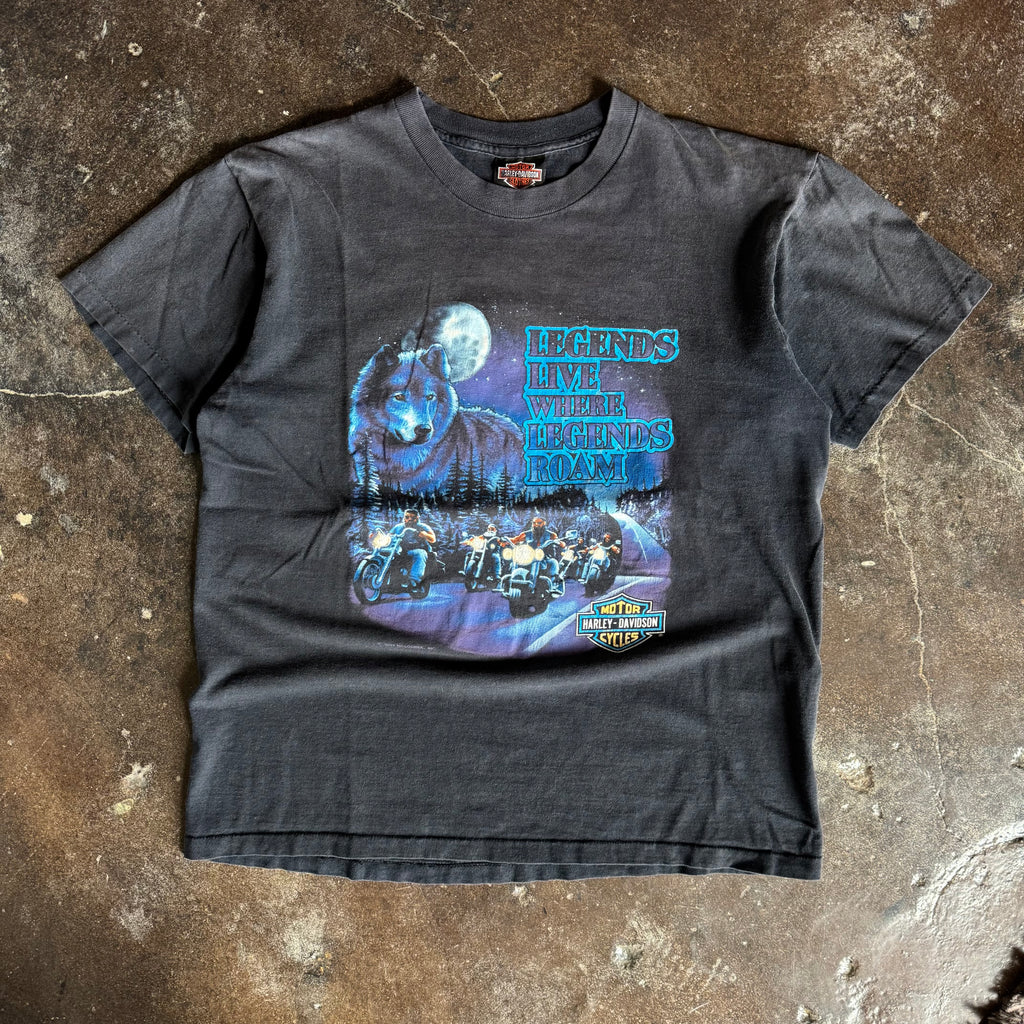 90’s Harley Legends Live Milwaukee Sun Faded Tee (L)