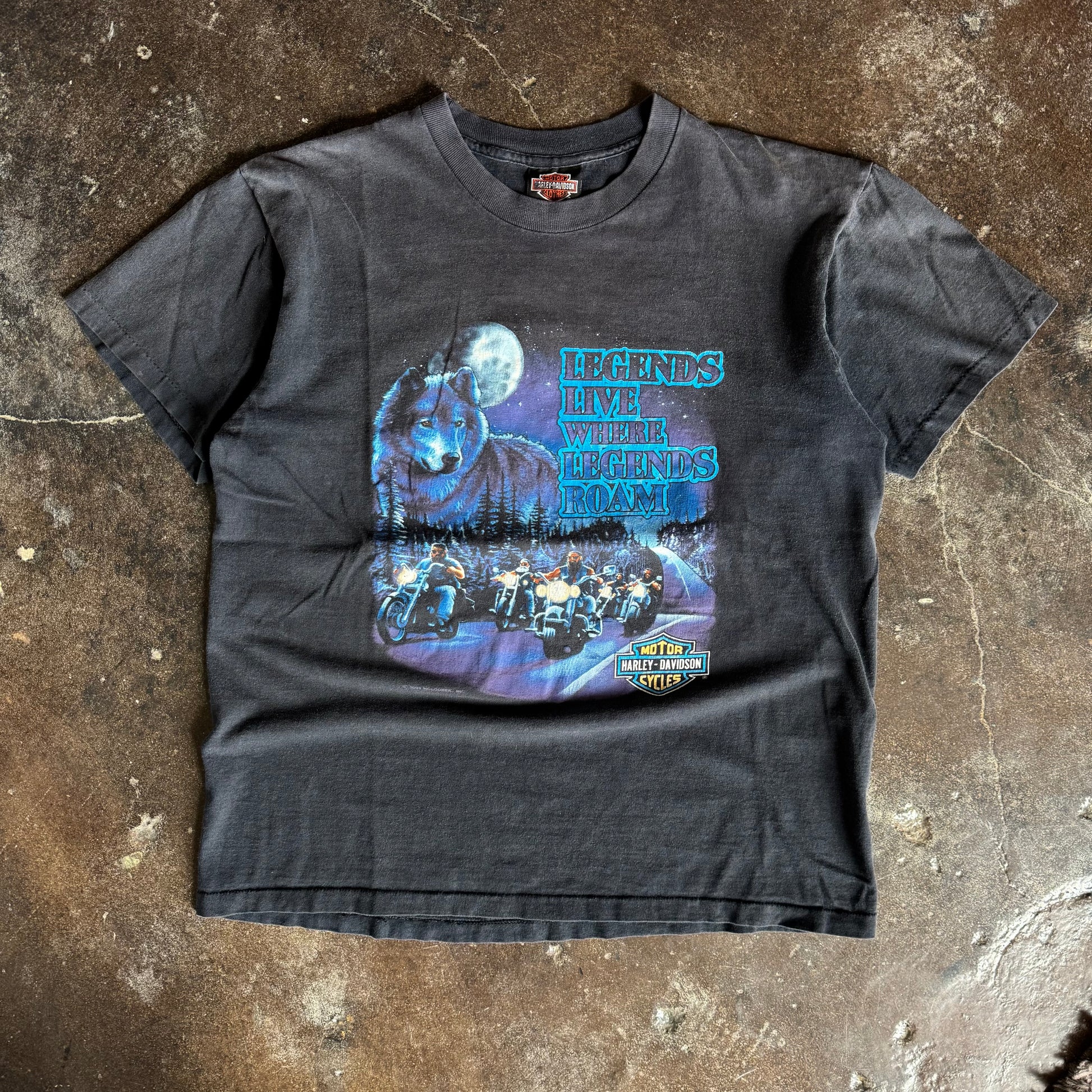 90’s Harley Legends Live Milwaukee Sun Faded Tee (L)