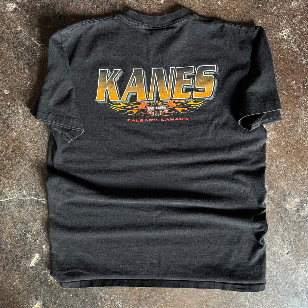 90’s Harley Davidson Feel the Thunder Canada Tee (L)