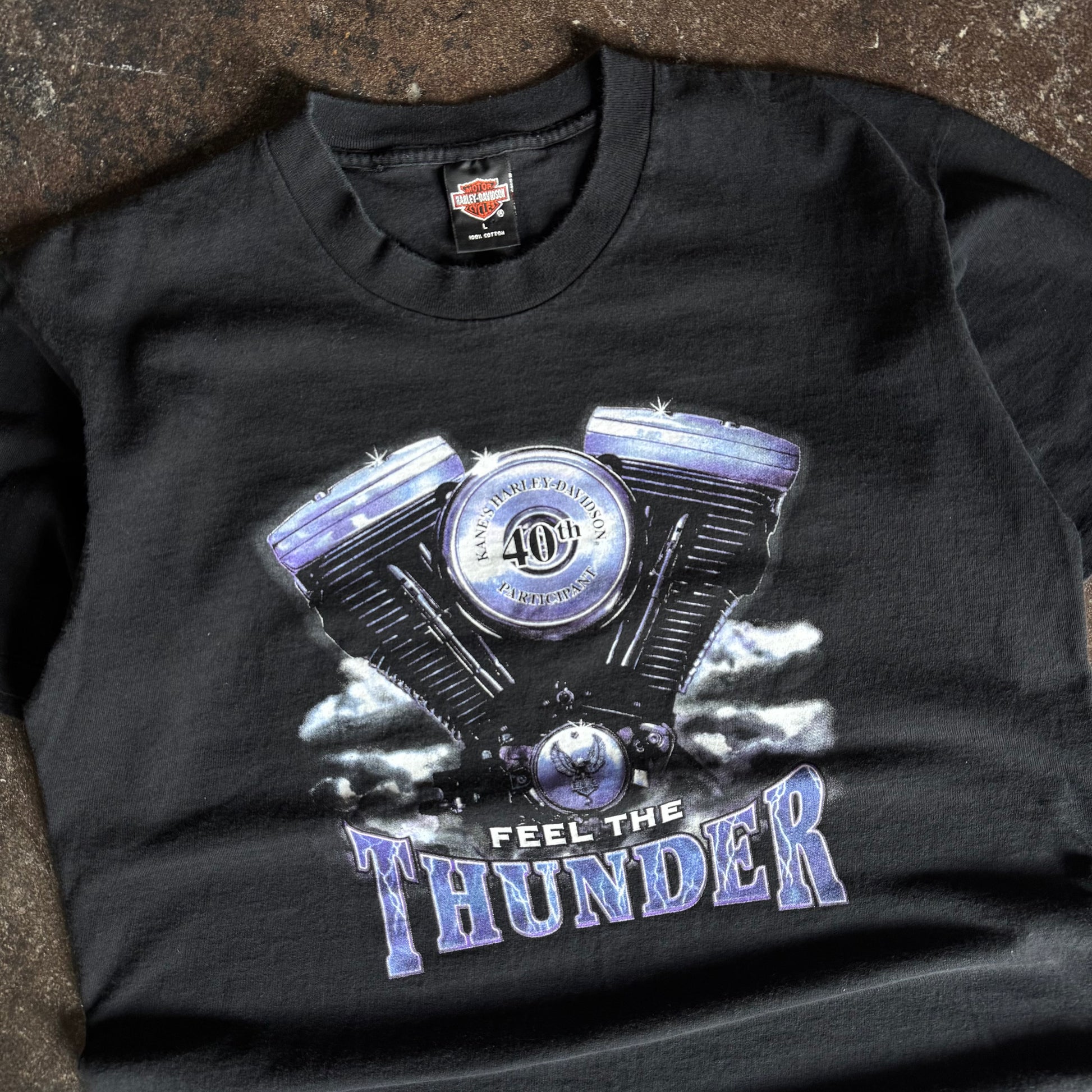 90’s Harley Davidson Feel the Thunder Canada Tee (L)