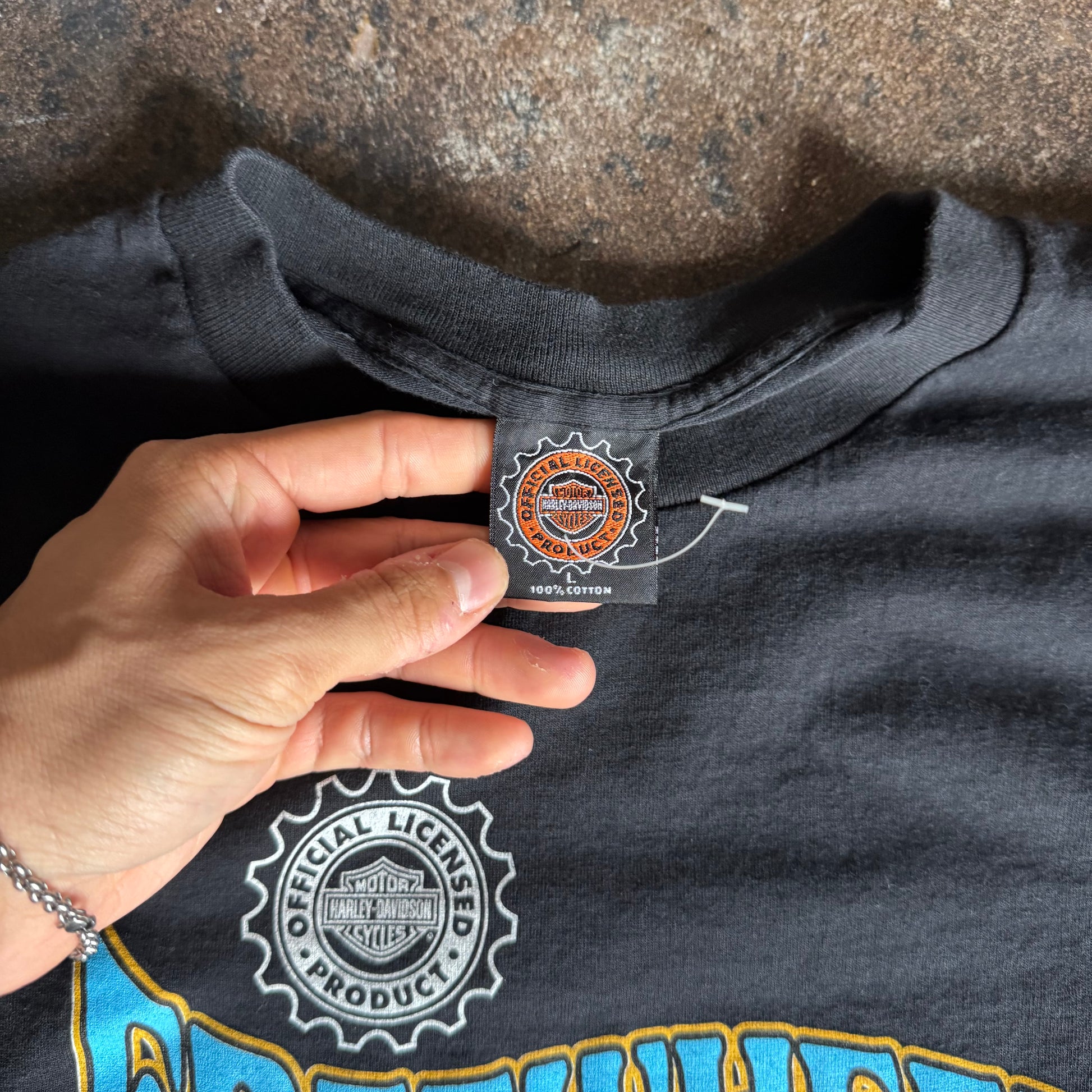90’s Harley Free Wheelin’ Sportster Tee (L)
