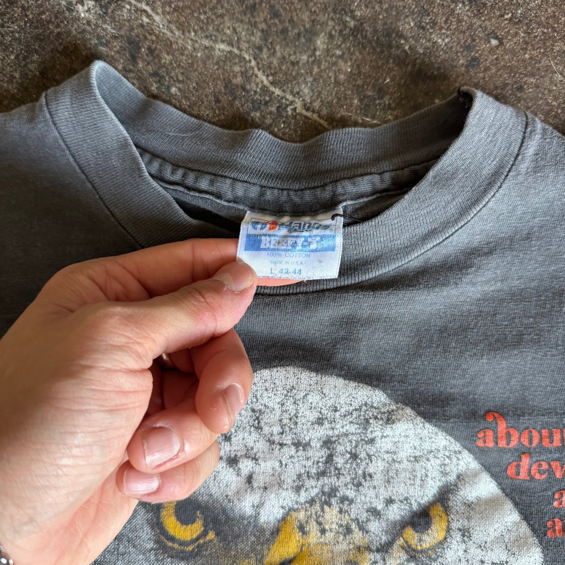 80’s Harley “Develop An Attitude” Sun Faded Eagle Tee (L)