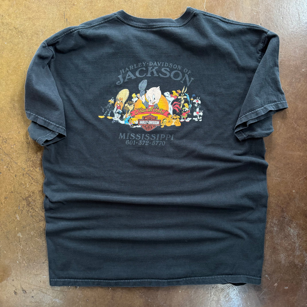 Y2K Harley Taz Tee (XL)