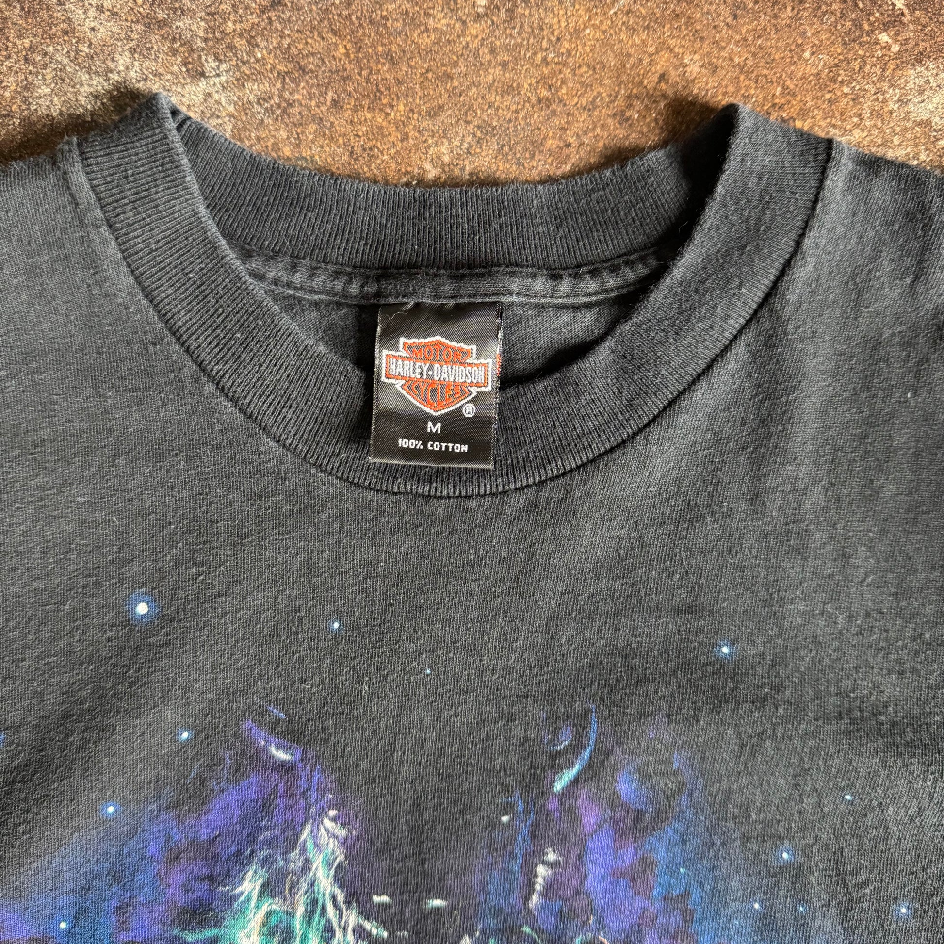 90’s Harley Wolf Purple Sky Nature Tee (M)