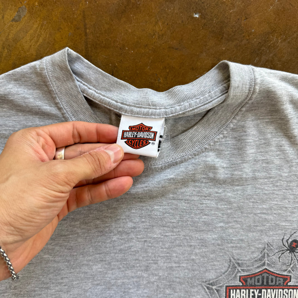 ‘00s Harley Davidson Spiderweb Longsleeve Tee (XL)