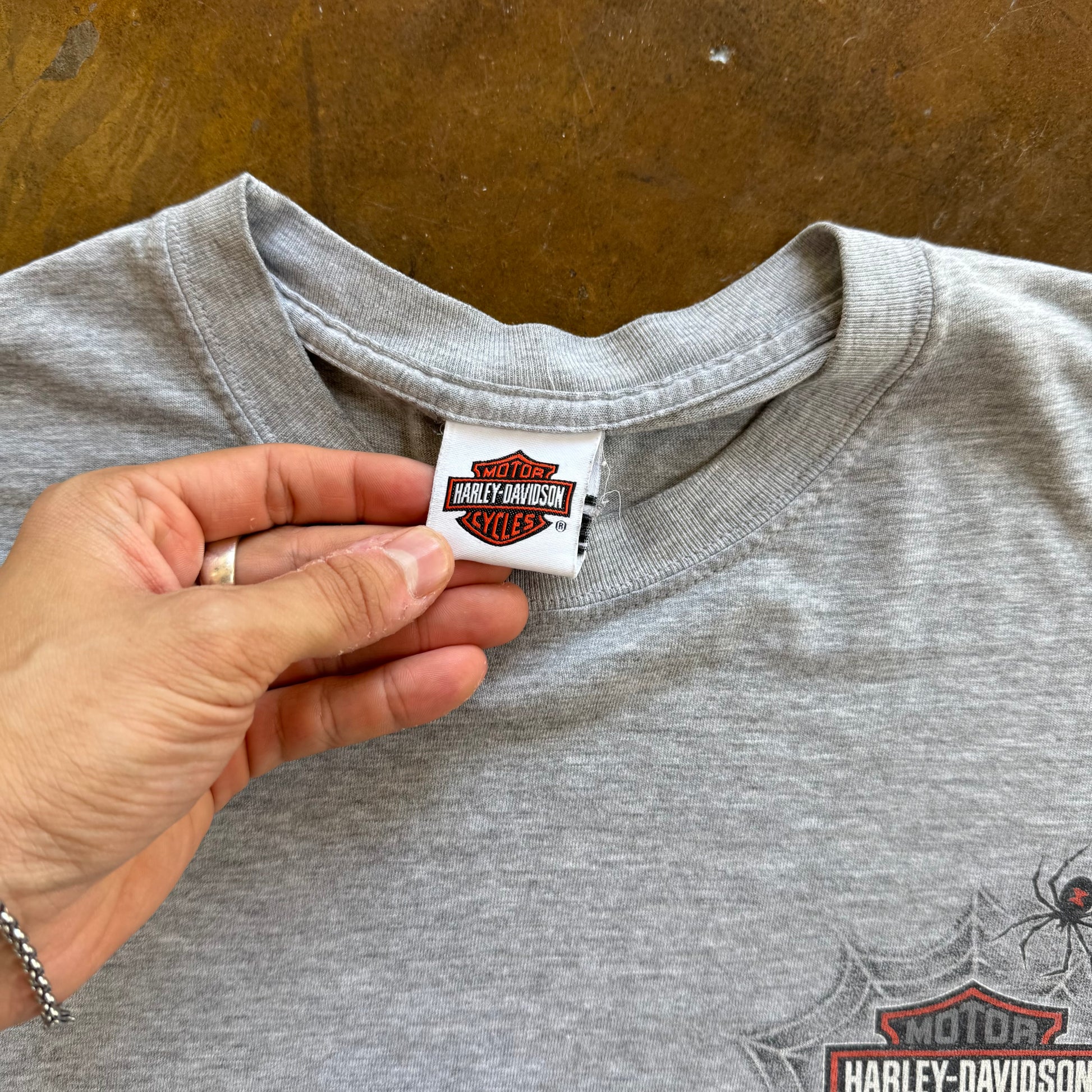 ‘00s Harley Davidson Spiderweb Longsleeve Tee (XL)