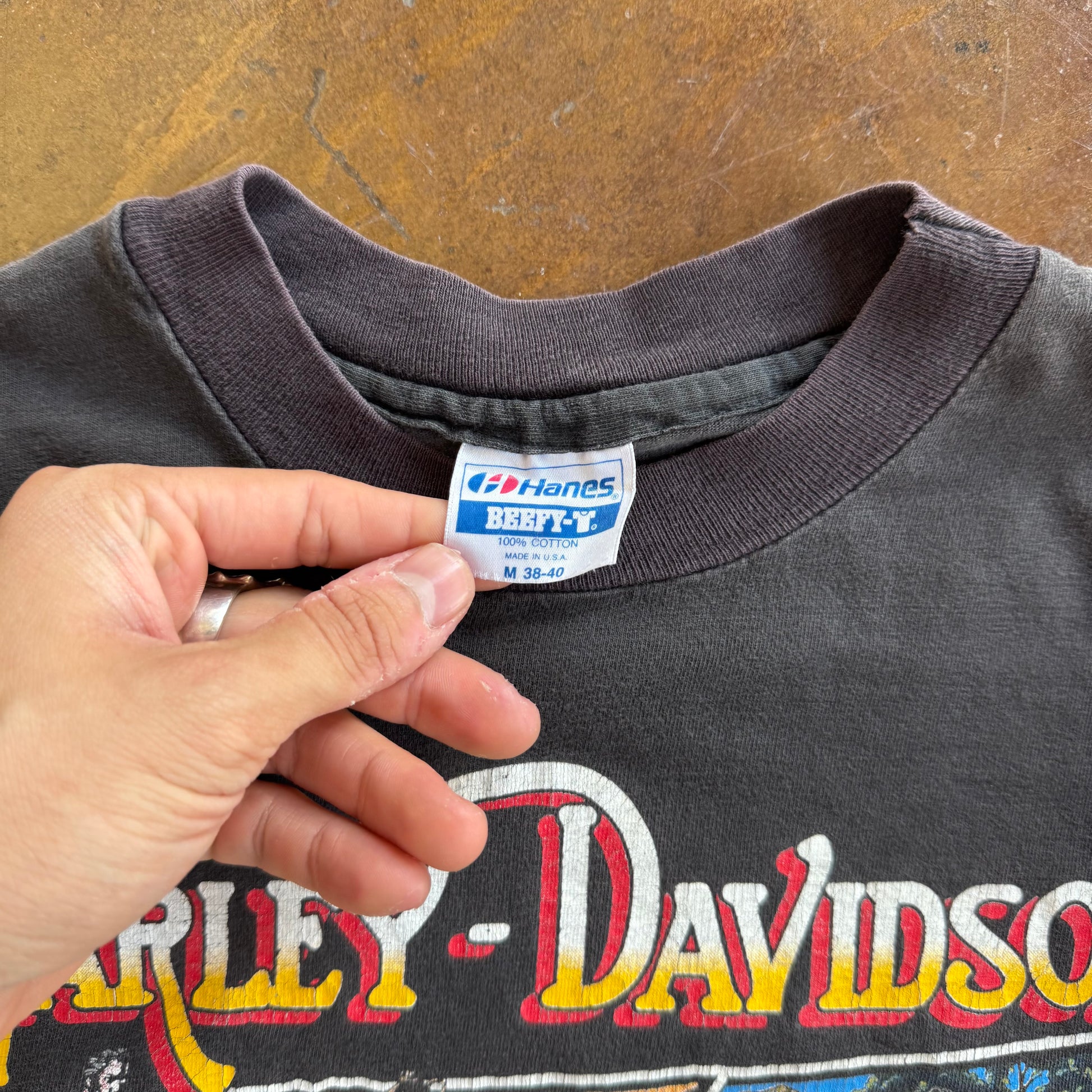 80’s Harley “Best way to see the South” Tee (M)