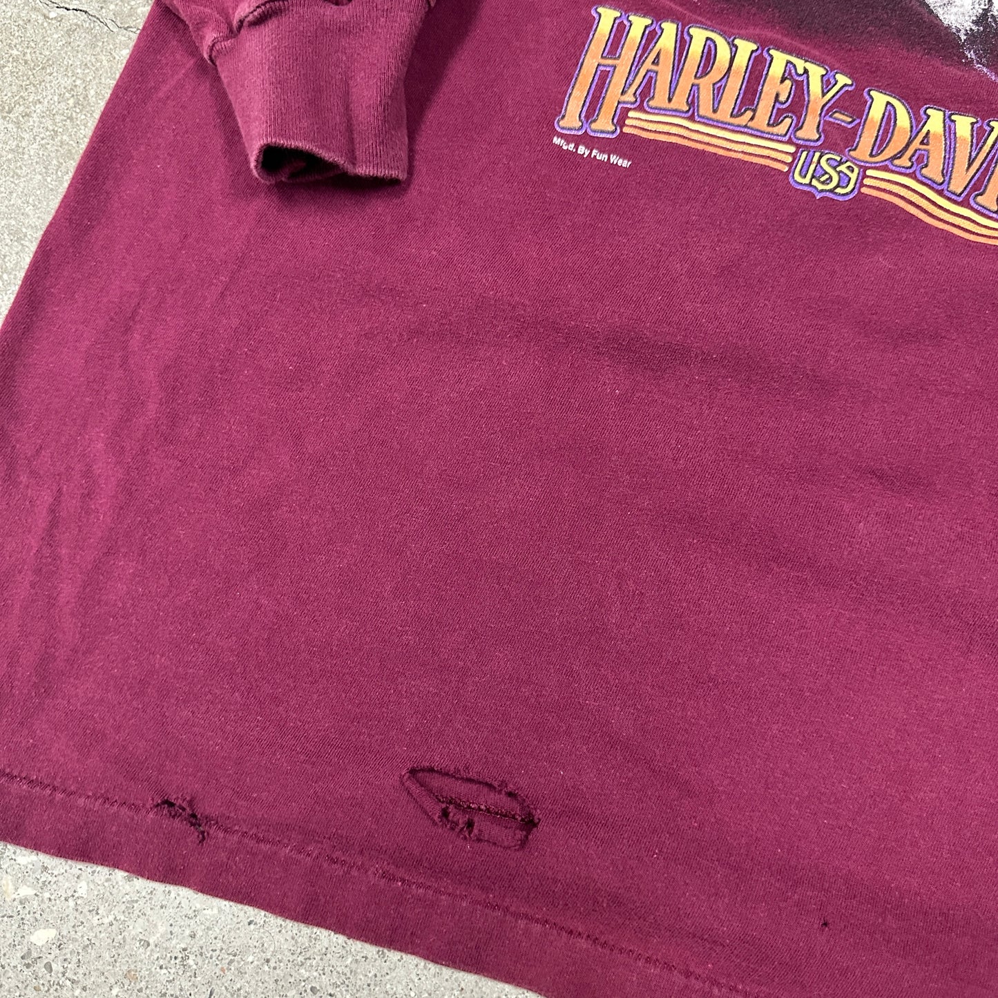 Harley Eagle Rainbow Flame Longsleeve Shirt