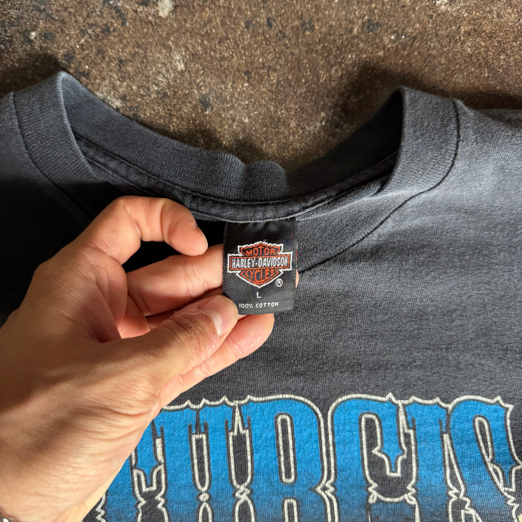 90’s Harley Sturgis Flaming Engine Tee (L)