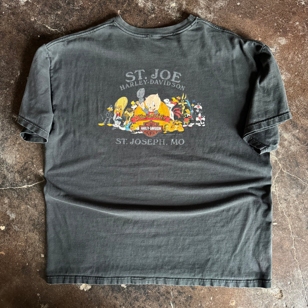 90’s Y2K Harley Taz Flame Tee (XL)