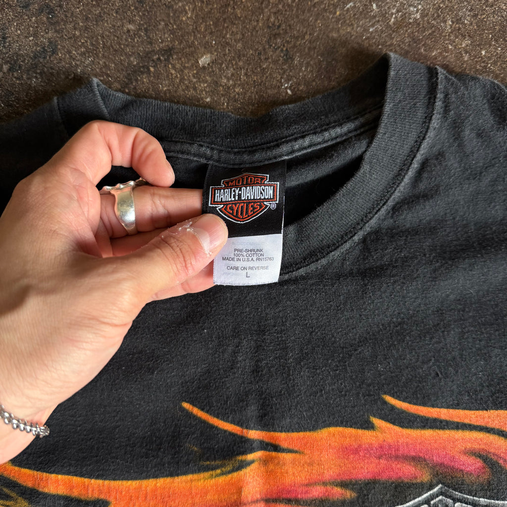 Y2K Harley Davidson Rushing Flame Emblem Tee (L)