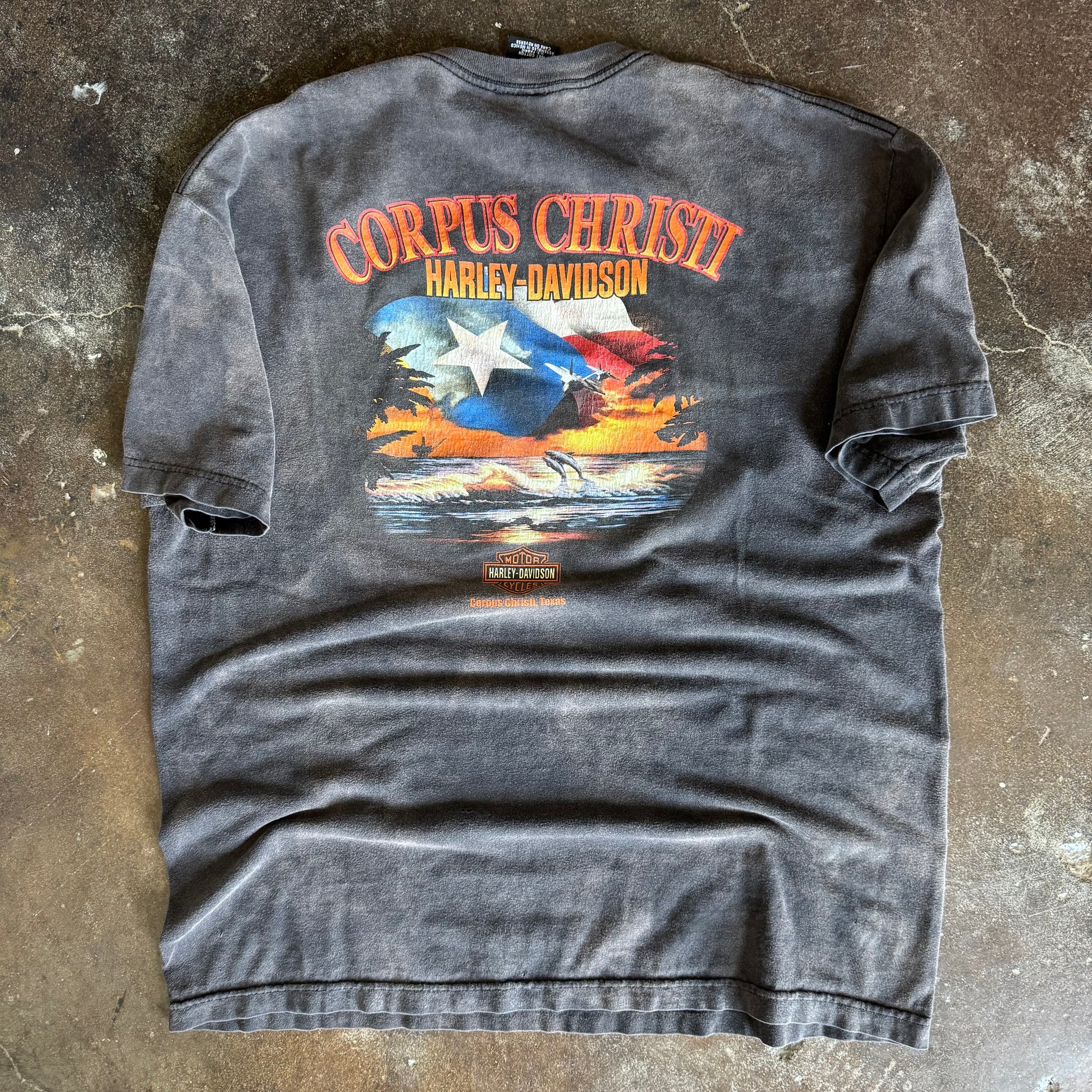 Y2K Harley Davidson Eagle Sunfaded Tee (XL)