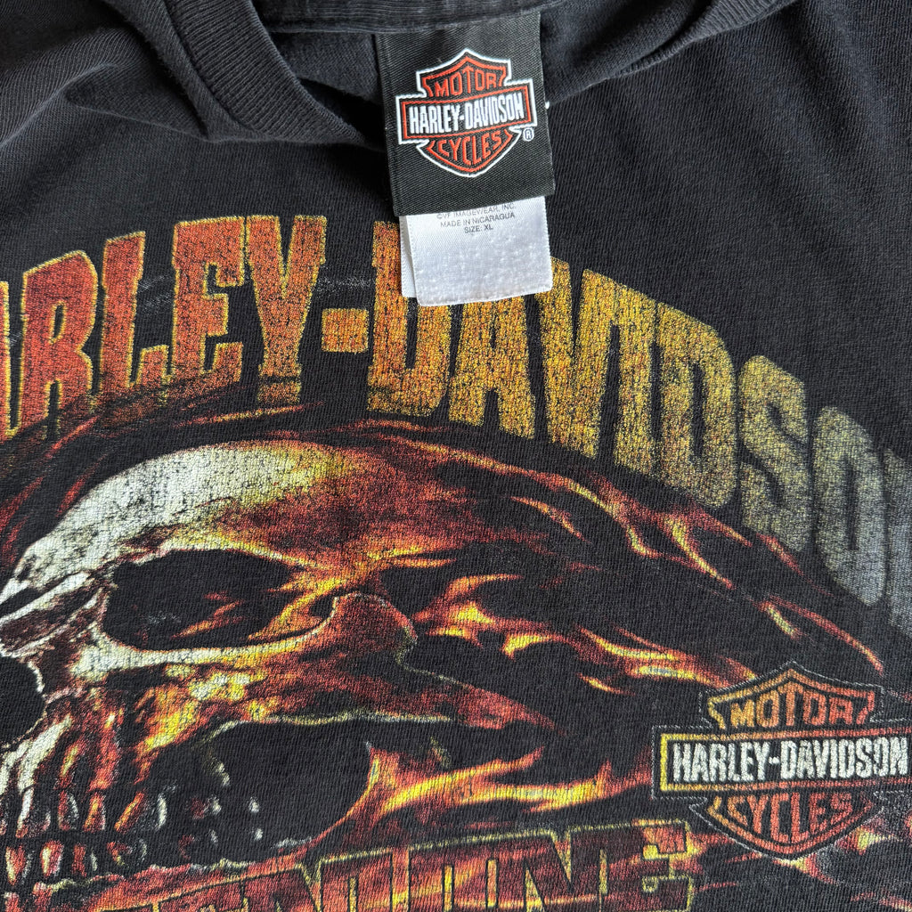 Y2K Harley Davidson Rushing Flame Skull Tee (XL)