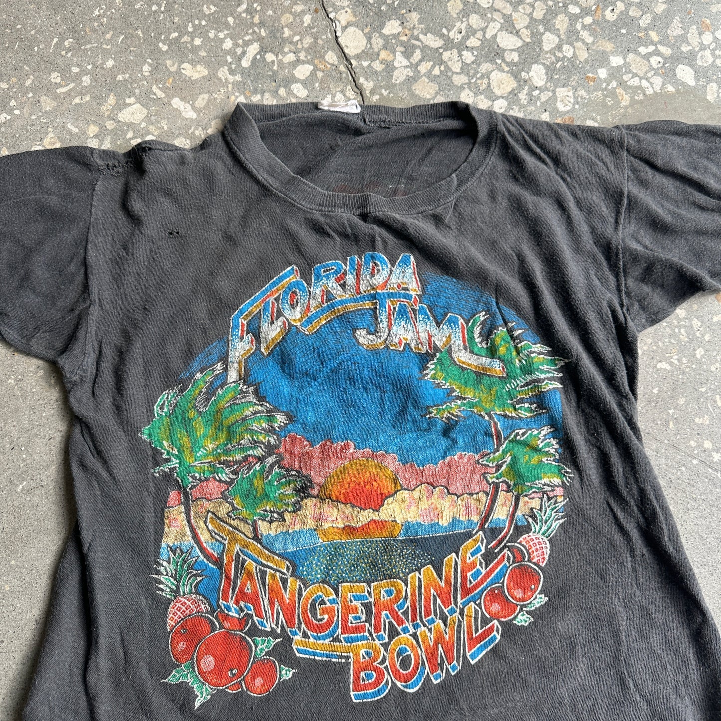 80s Florida Jam Band Festival Rock Concert Tee (Field-Tested)