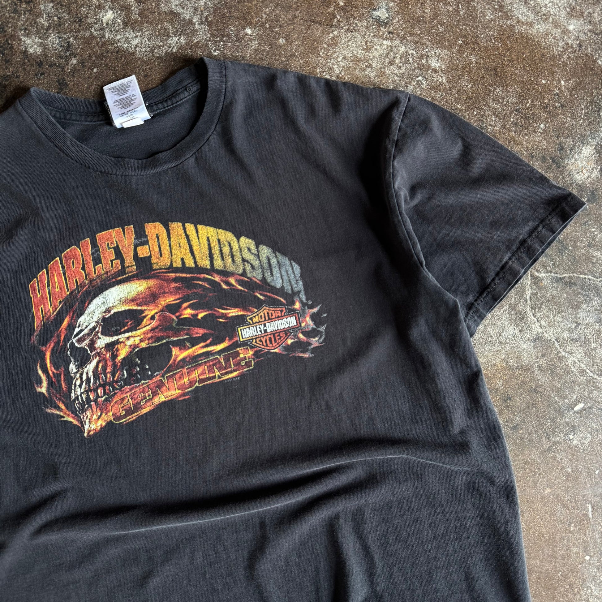 Y2K Harley Davidson Rushing Flame Skull Tee (XL)
