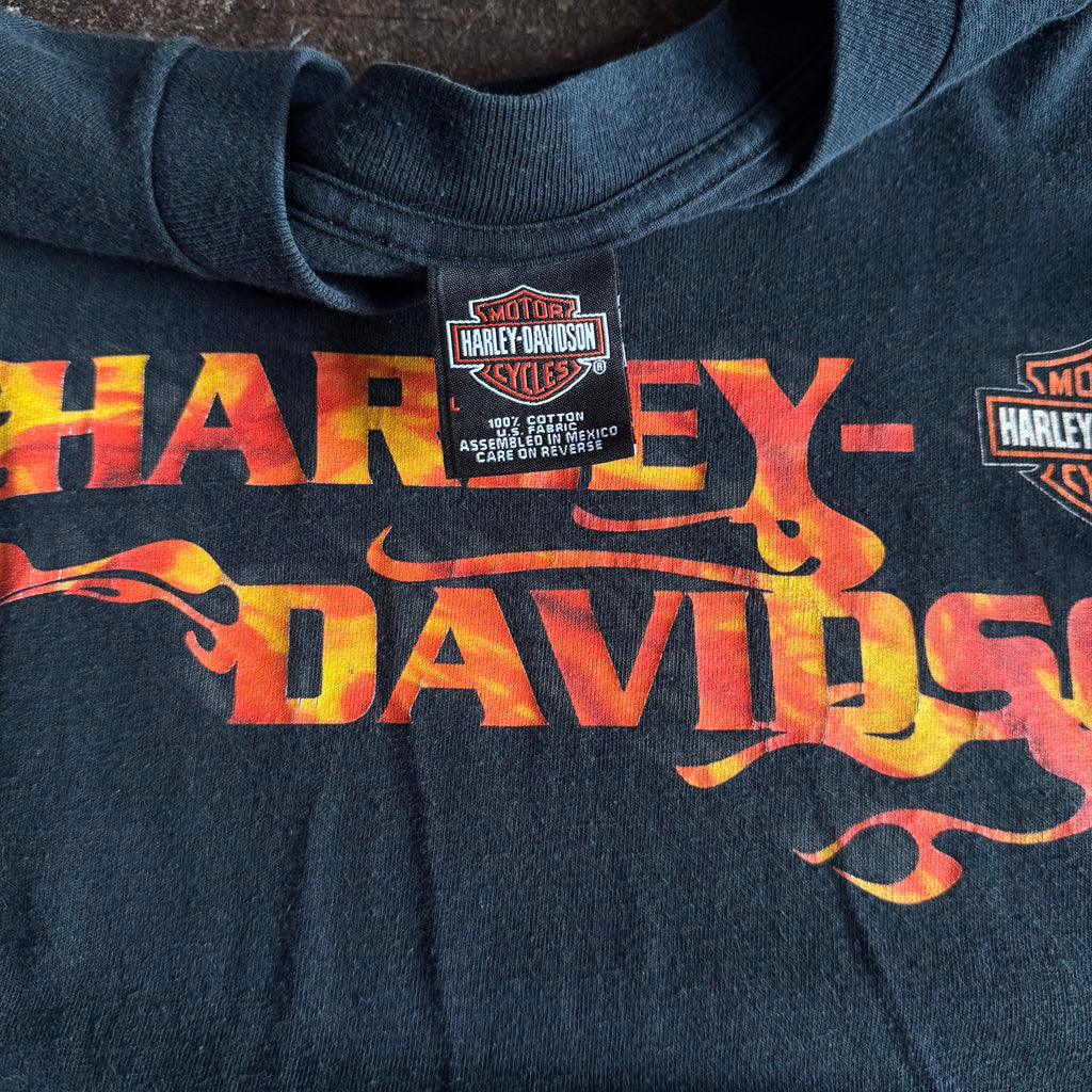 Y2K Harley Flame Spellout Longsleeve (L)