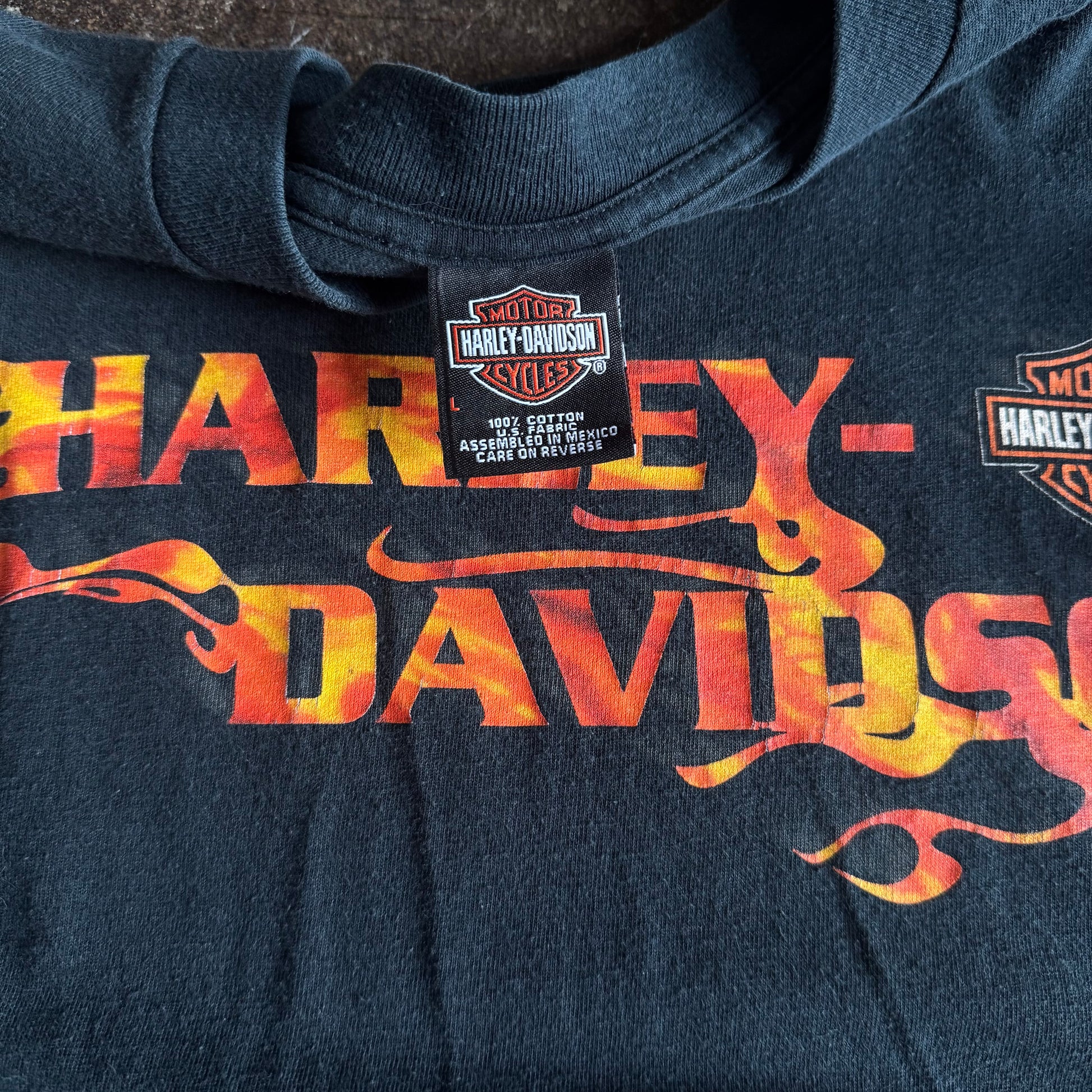 Y2K Harley Flame Spellout Longsleeve (L)