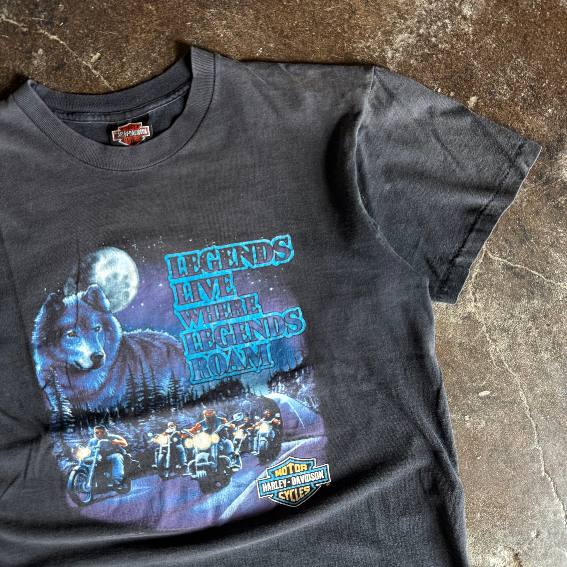 90’s Harley Legends Live Milwaukee Sun Faded Tee (L)