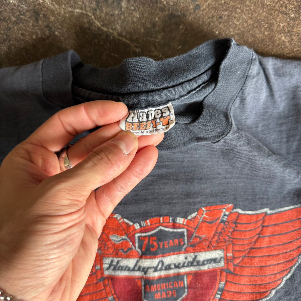 70’s Harley Davidson Anniversary Faded Tee (M)