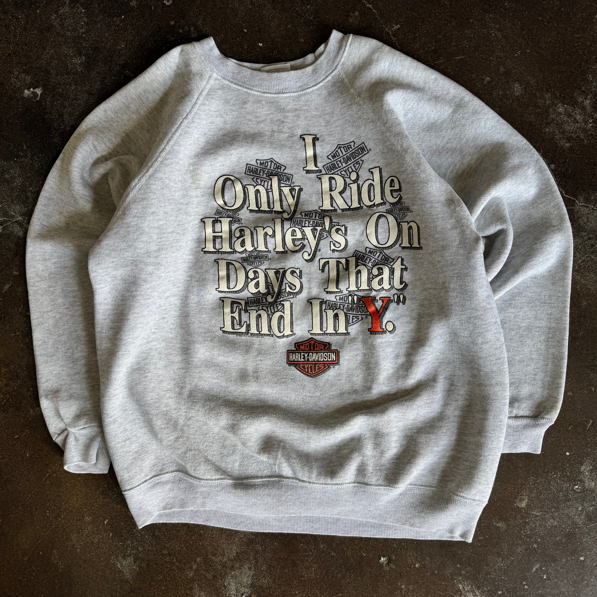 80’s Harley “Days That End In Y” Sweatshirt (L)