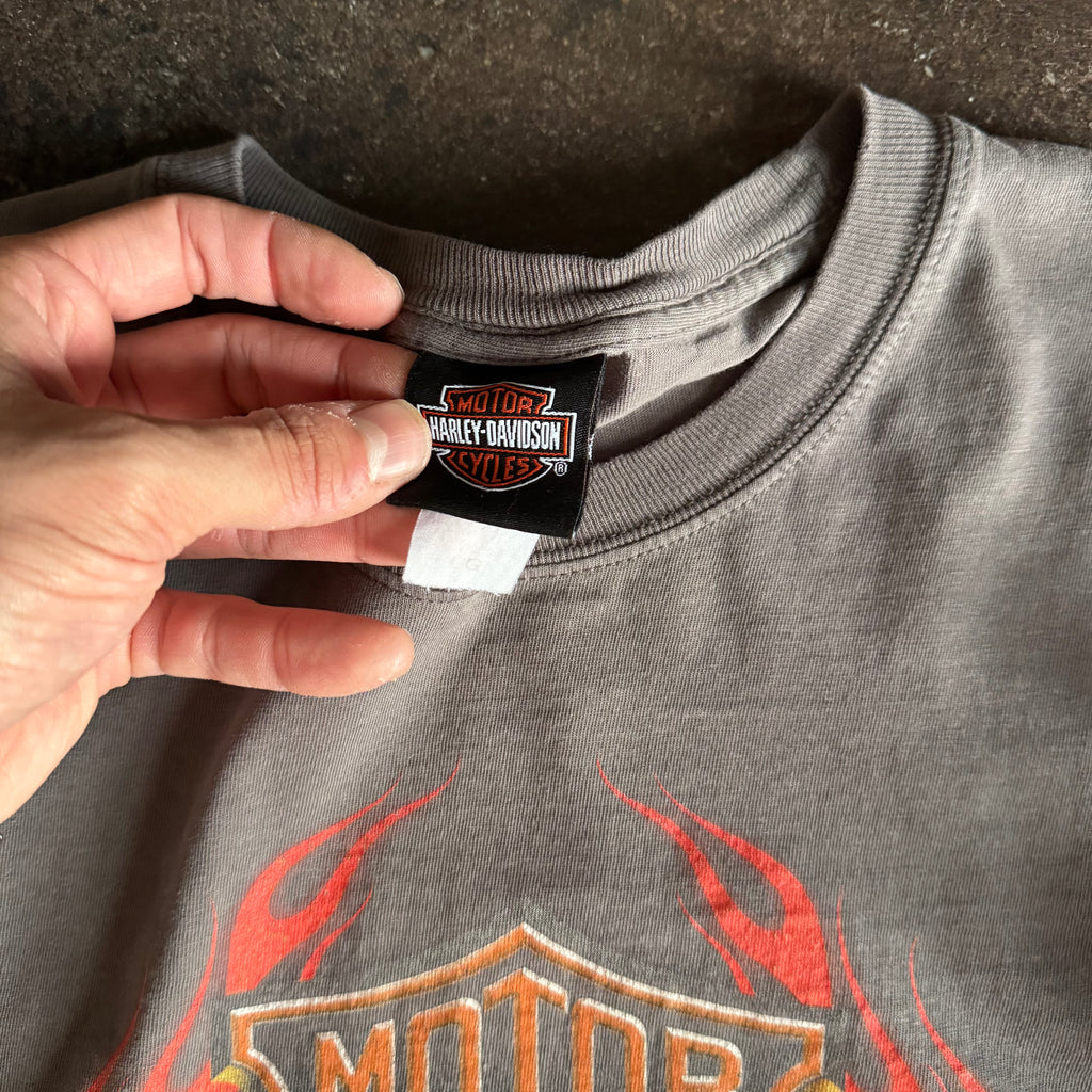 Y2K Harley One Hot Ride Flame Emblem Longsleeve Tee (L)