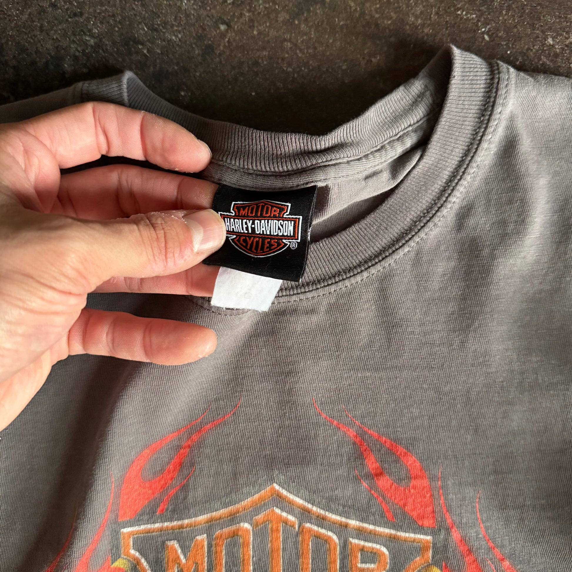 Y2K Harley One Hot Ride Flame Emblem Longsleeve Tee (L)