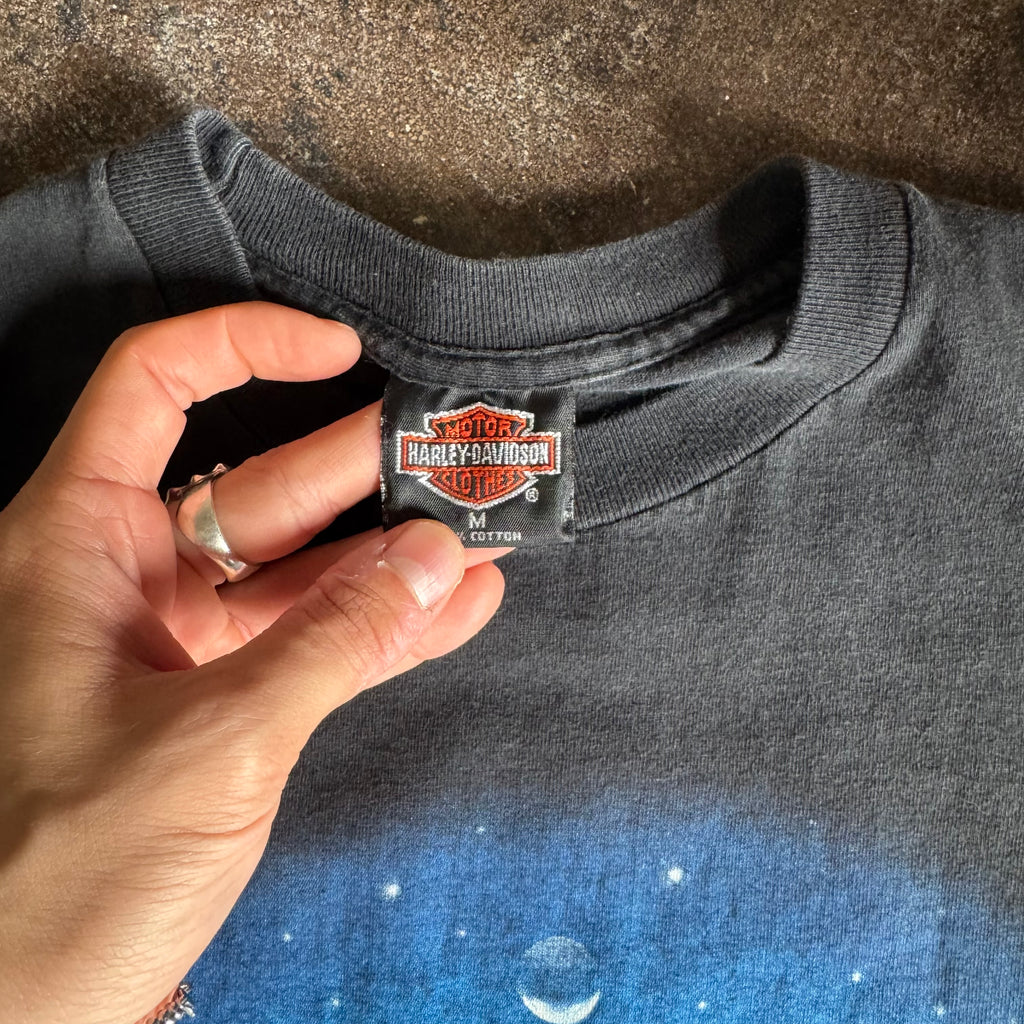 90’s Harley Eagle Sunset Earth Tee (M)