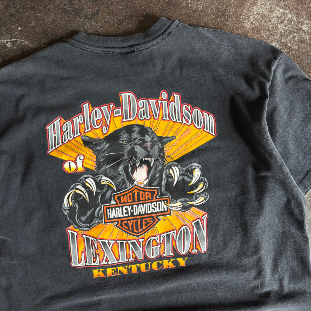 90’s Harley Lexington Kentucky Panther Pocket Tee (XXL)