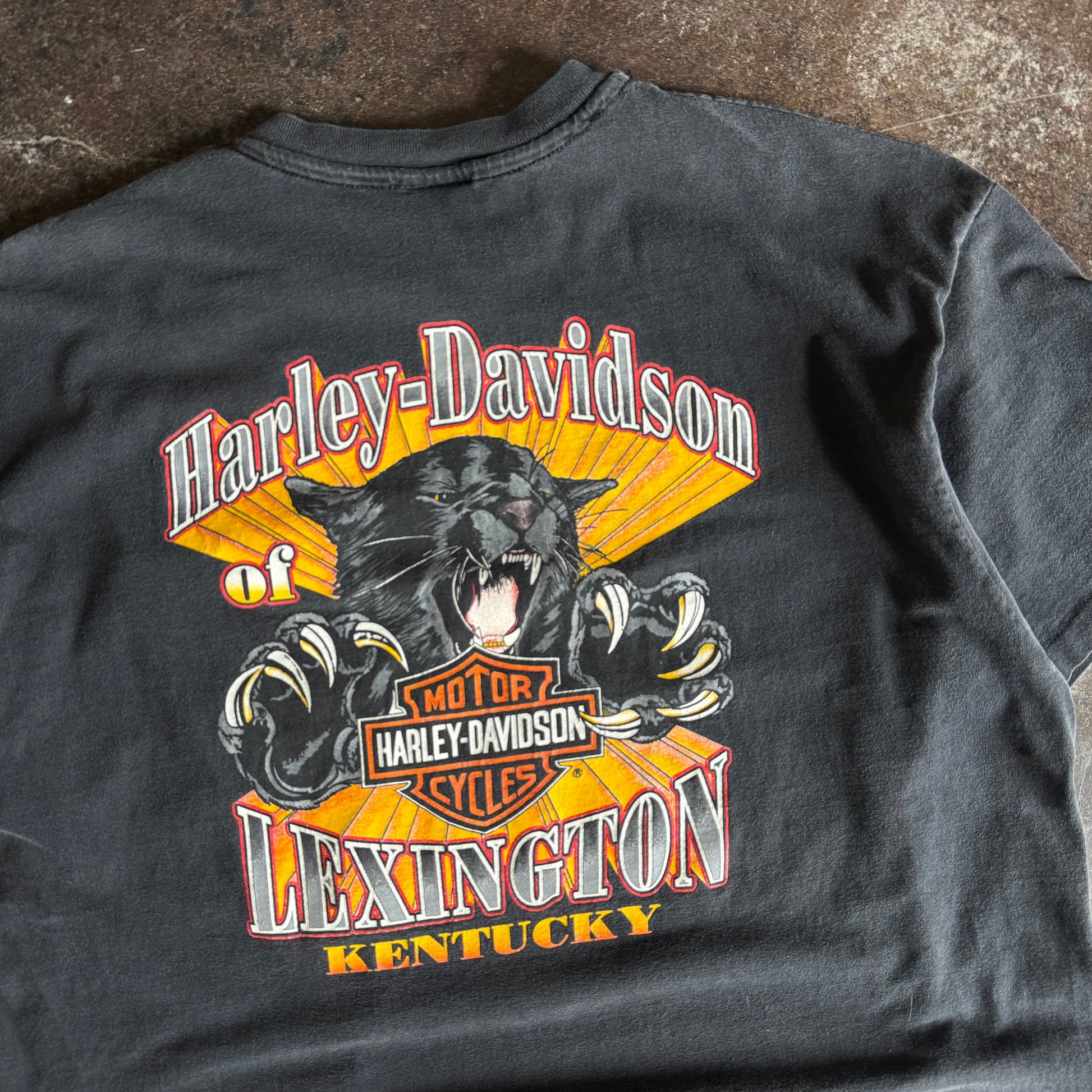 90’s Harley Lexington Kentucky Panther Pocket Tee (XXL)