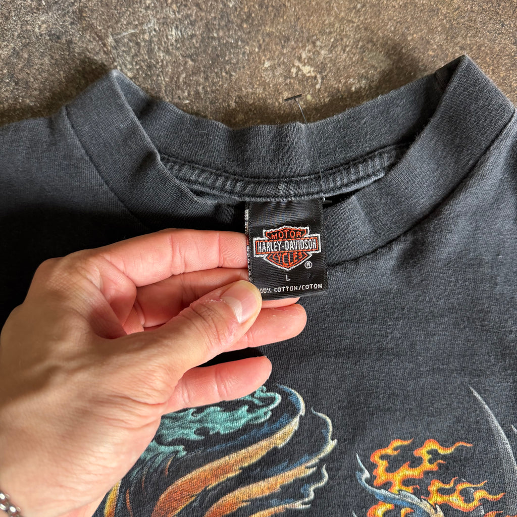 90’s Harley Flaming Banner Rocky Mountain Tee (L)