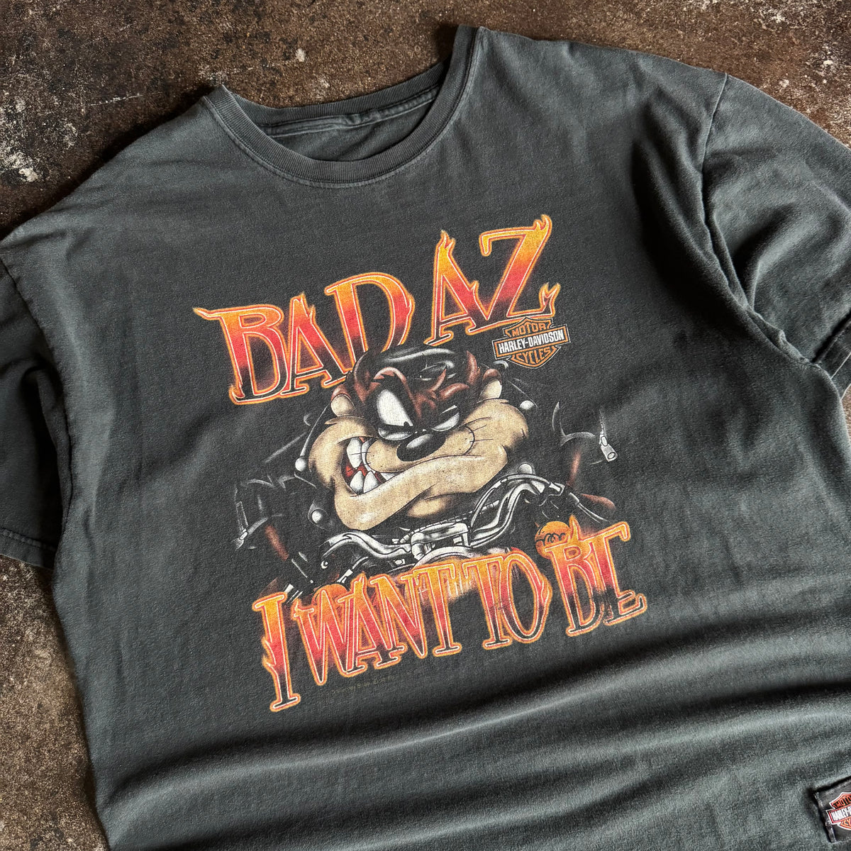 90’s Y2K Harley Taz Flame Tee (XL)