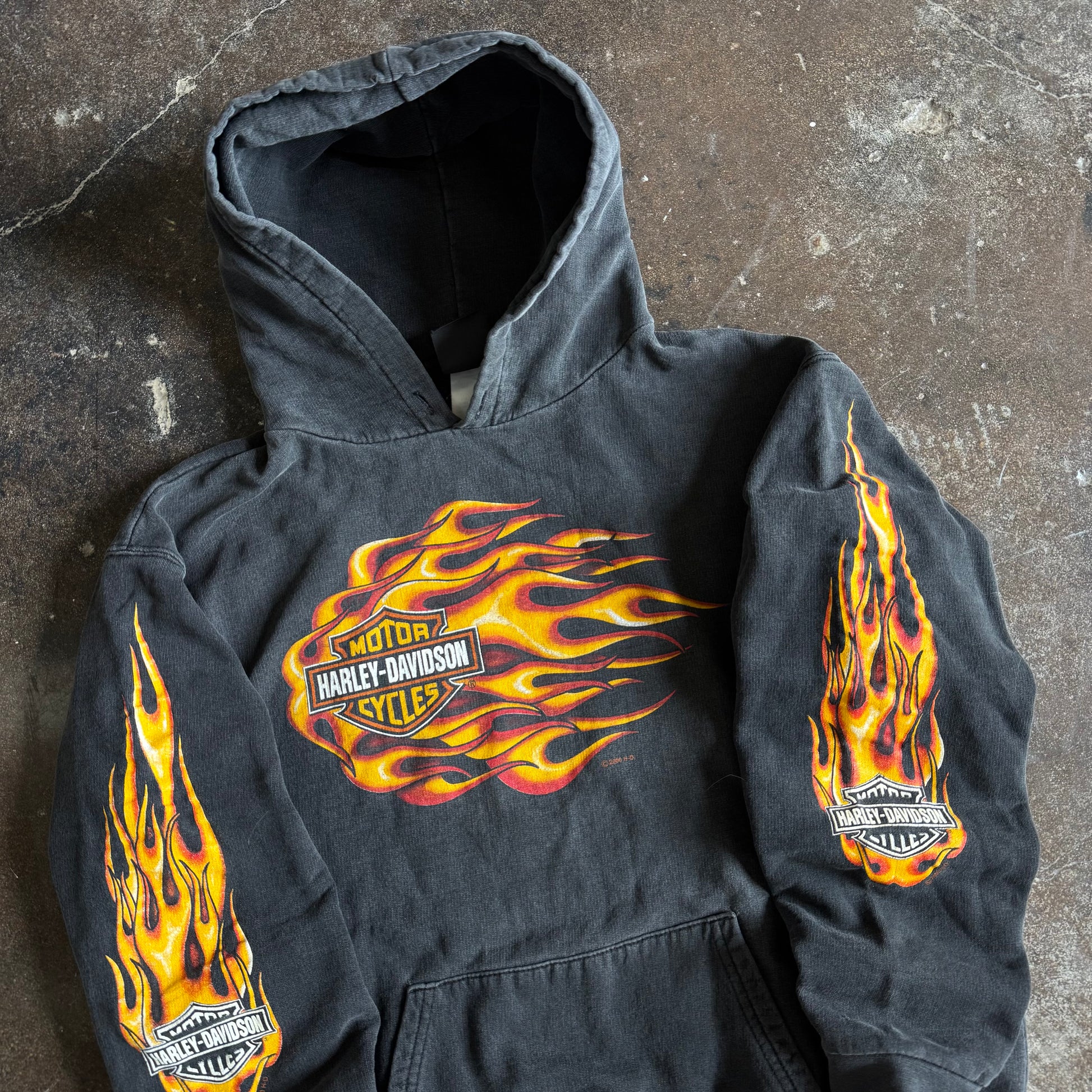 Y2K Harley Davidson Rushing Flames Hoodie (M)