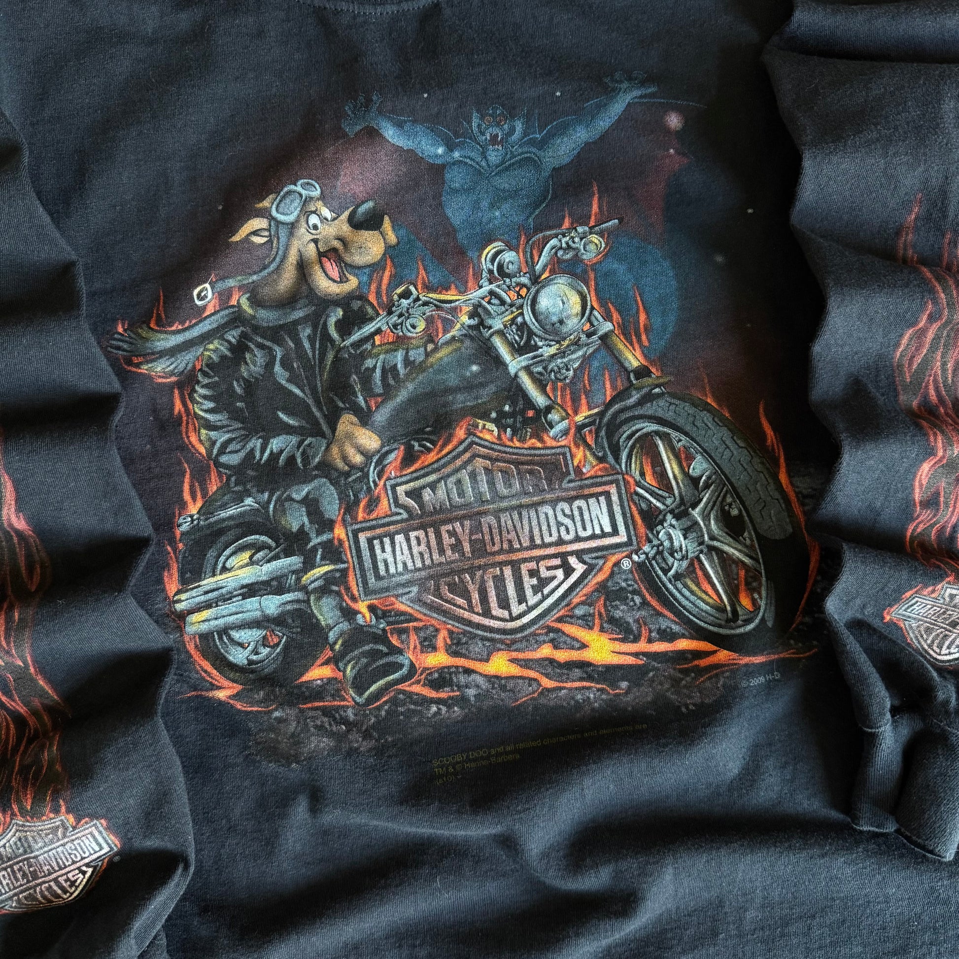 Y2K Harley Scooby Doo & Looney Tunes Flame Longsleeve (M/L)