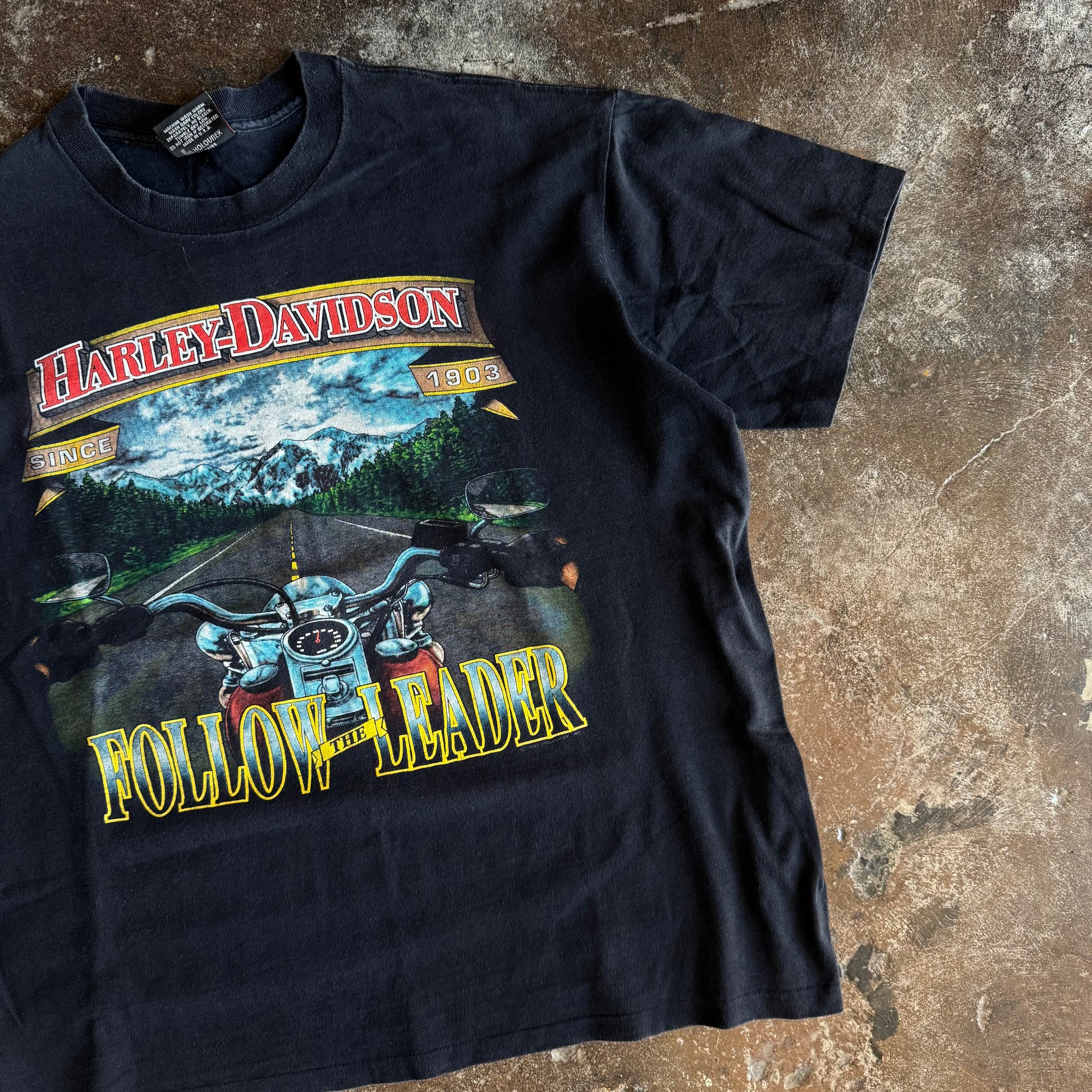 90’s Follow The Leader Harley Tee (L/XL)