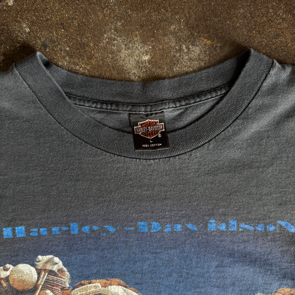 90’s Harley “Monumental” Sun Faded Tee (XL/XXL)