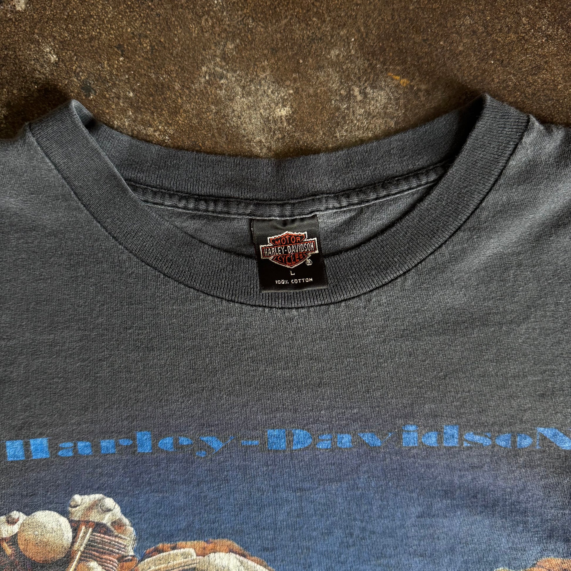90’s Harley “Monumental” Sun Faded Tee (XL/XXL)