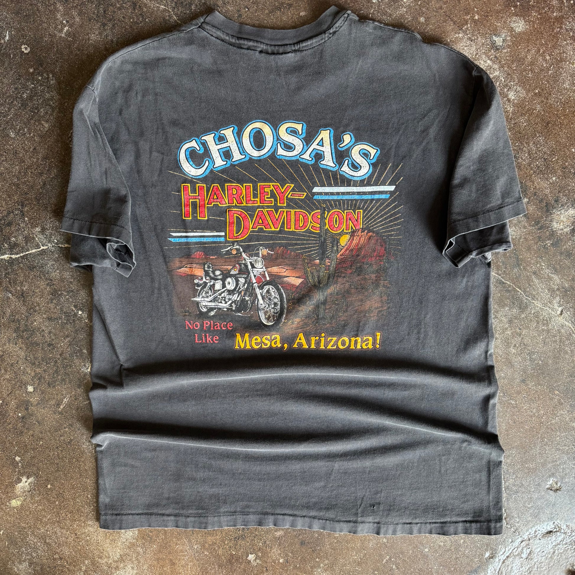 90’s Harley Untamed Tiger Arizona Sun Faded Tee (XL)