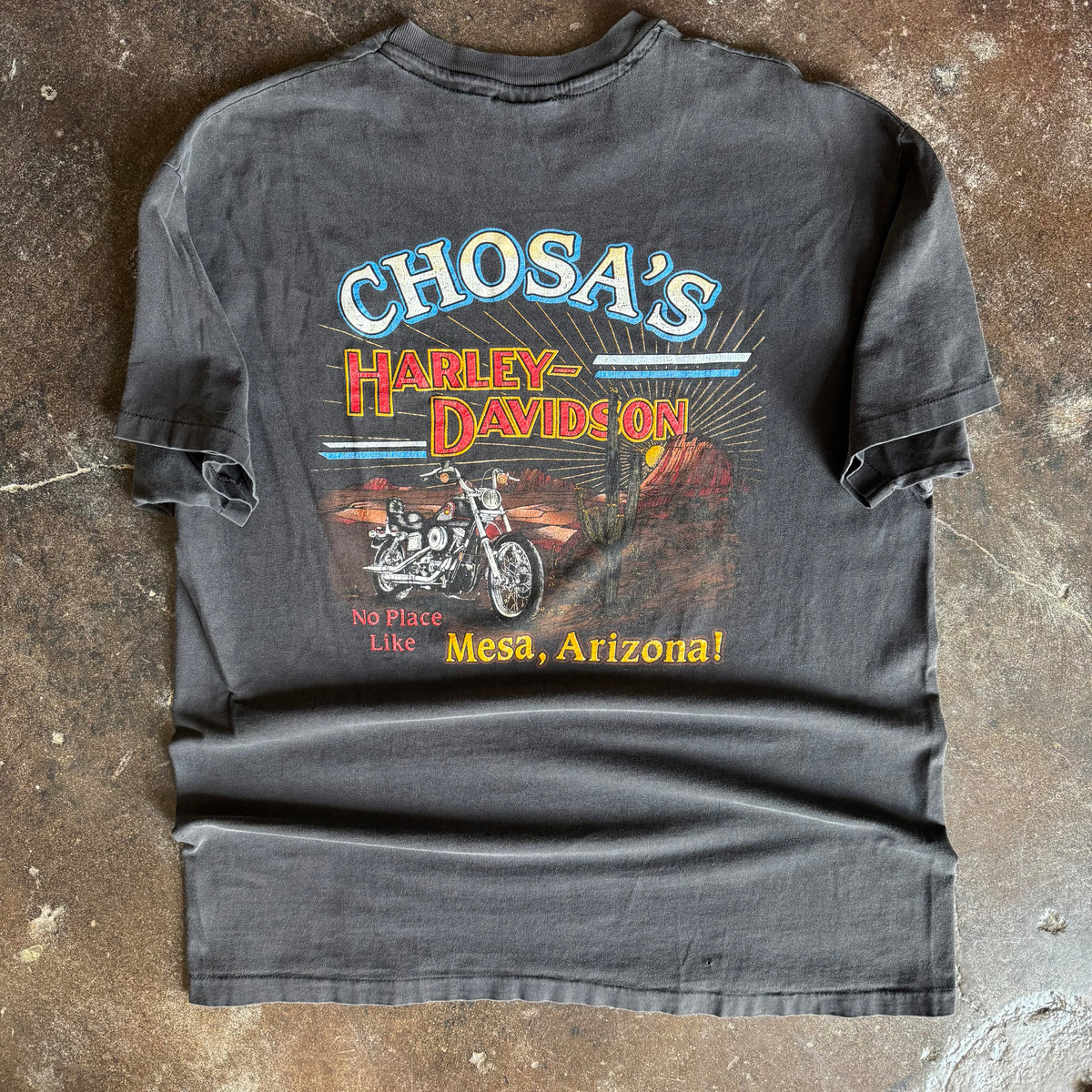90’s Harley Untamed Tiger Arizona Sun Faded Tee (XL)