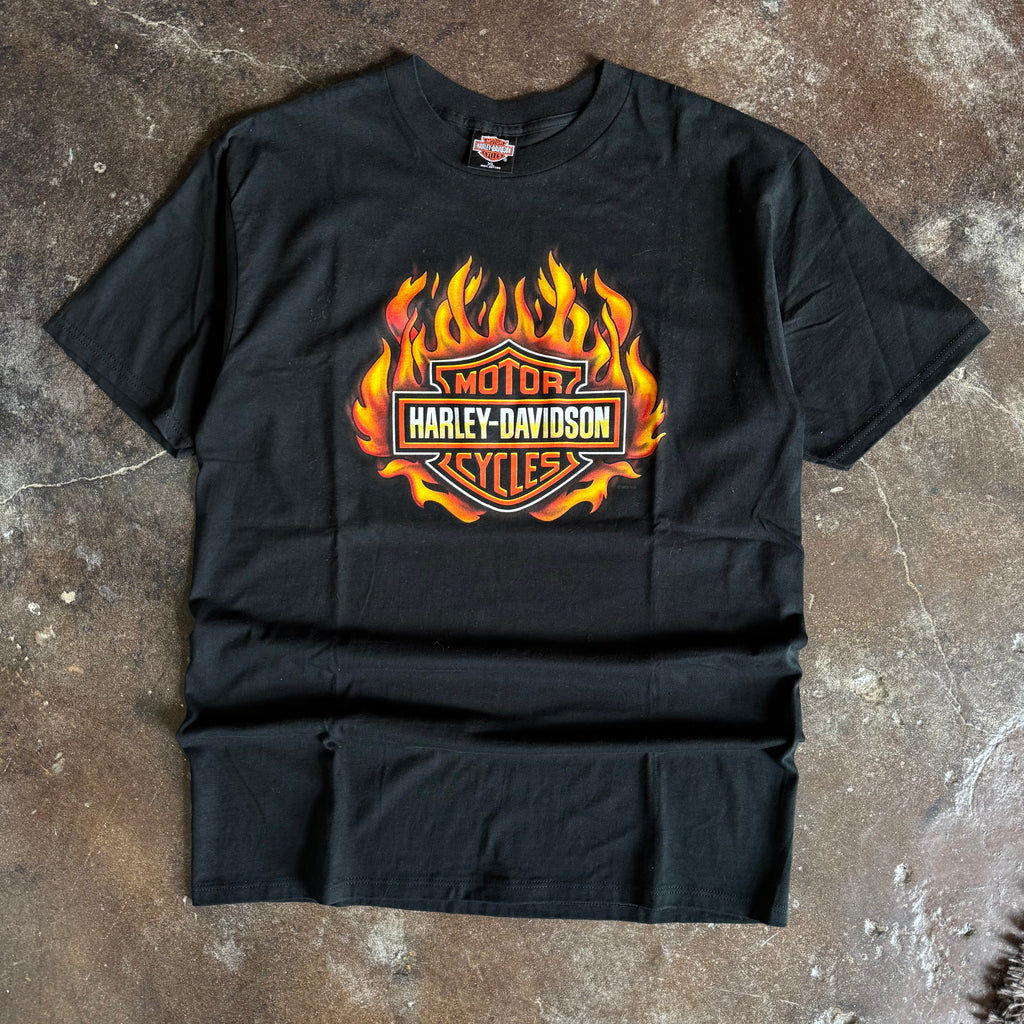 90’s Harley Davidson Flame Ball Big Boar Tee (XL)