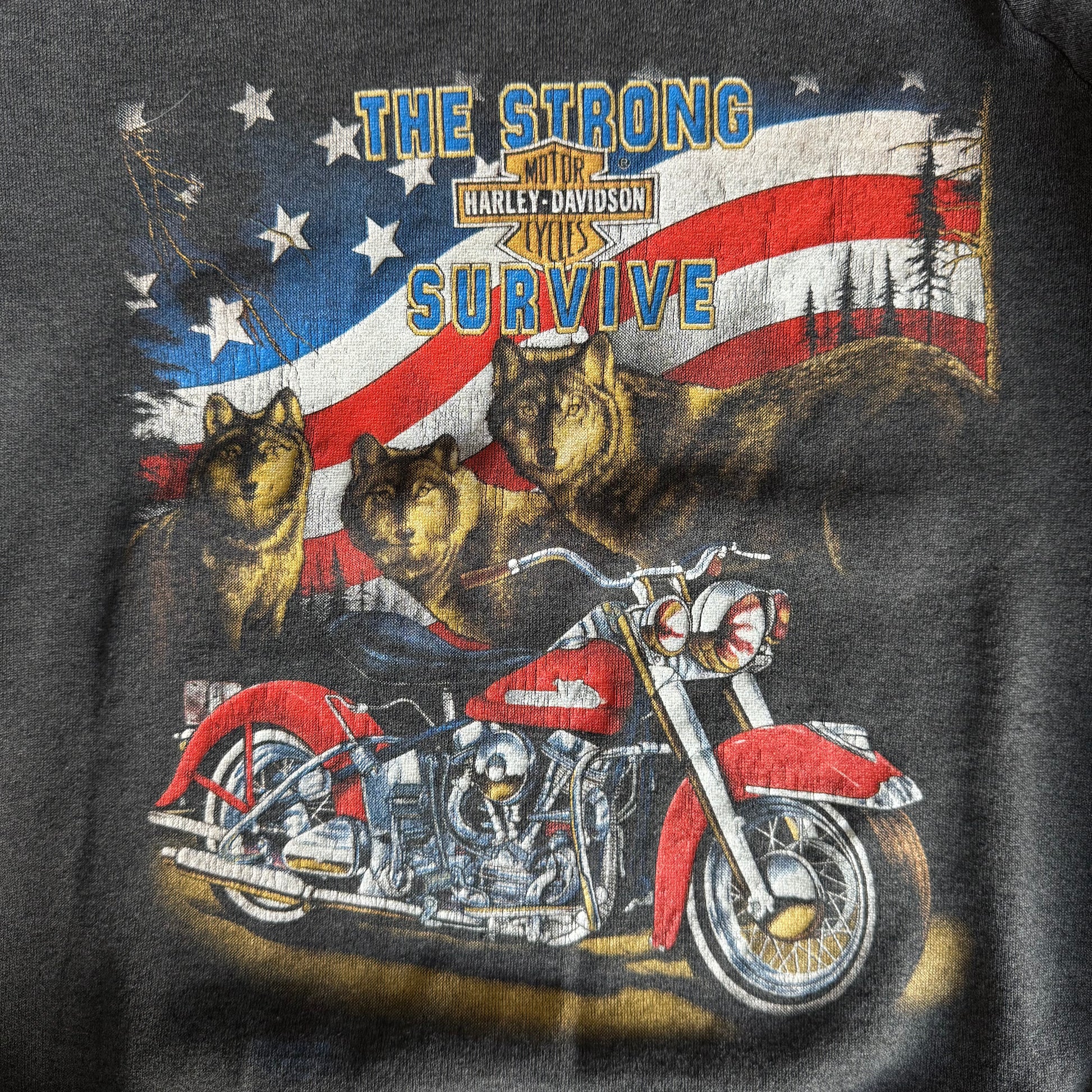 90’s Harley 3d Emblem Strong Survive NY Sweatshirt (XL)