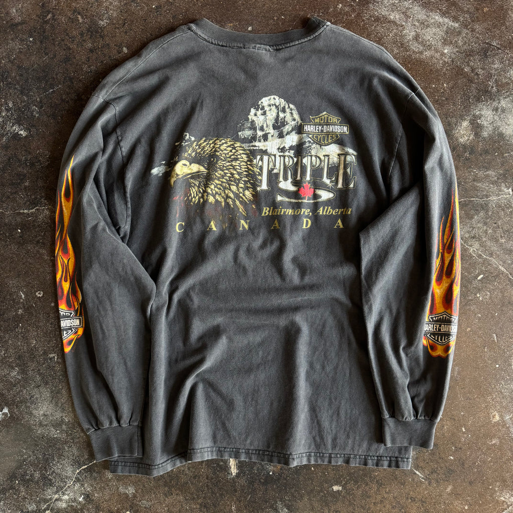 Back view of vintage Harley-Davidson rushing flames sun faded longsleeve