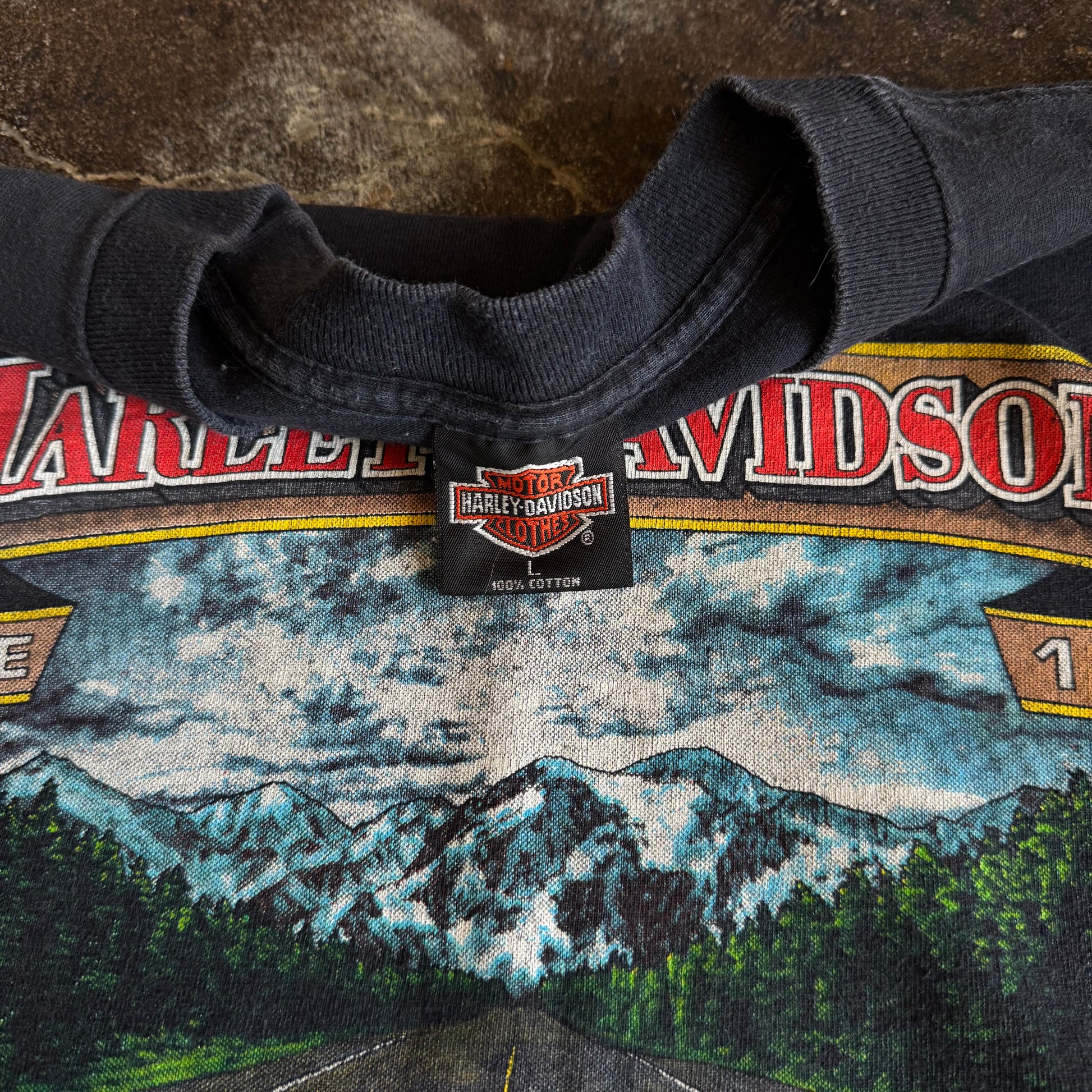 90’s Follow The Leader Harley Tee (L/XL)