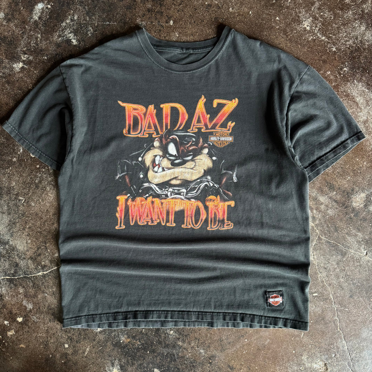 90’s Y2K Harley Taz Flame Tee (XL)