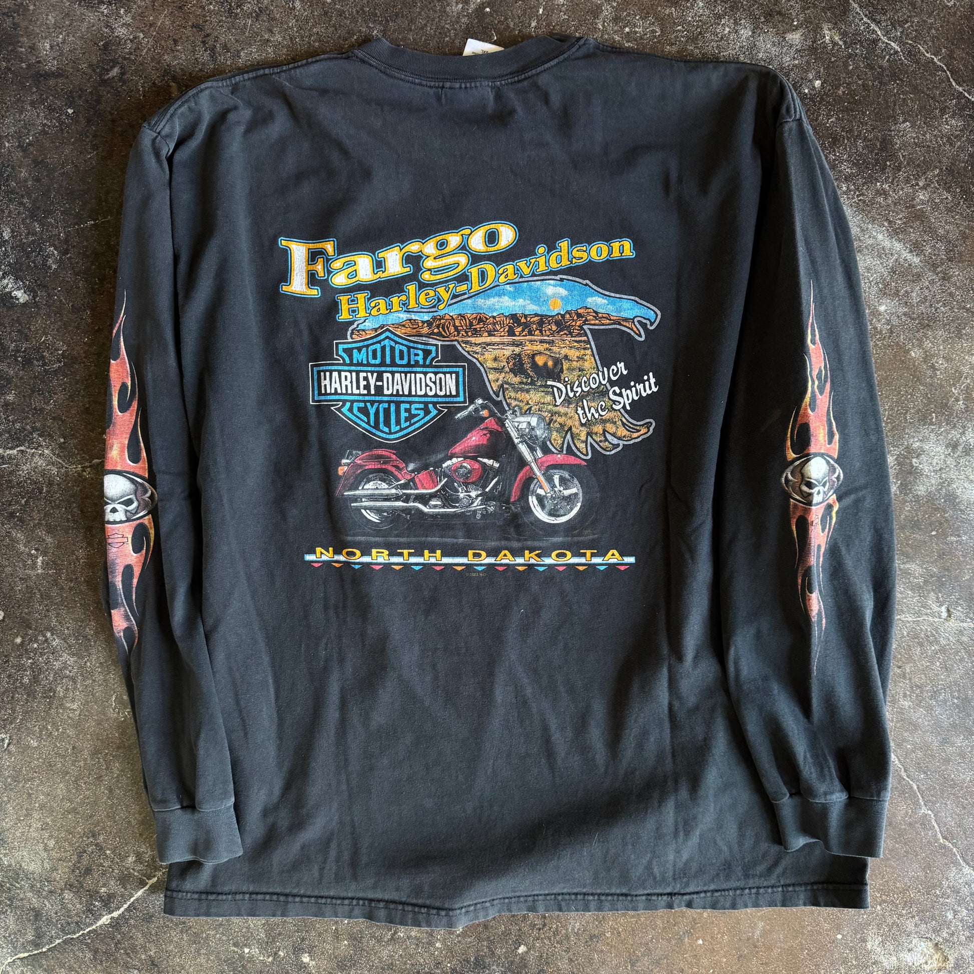 Y2K Harley Davidson Flame Skull Longsleeve (XXL)
