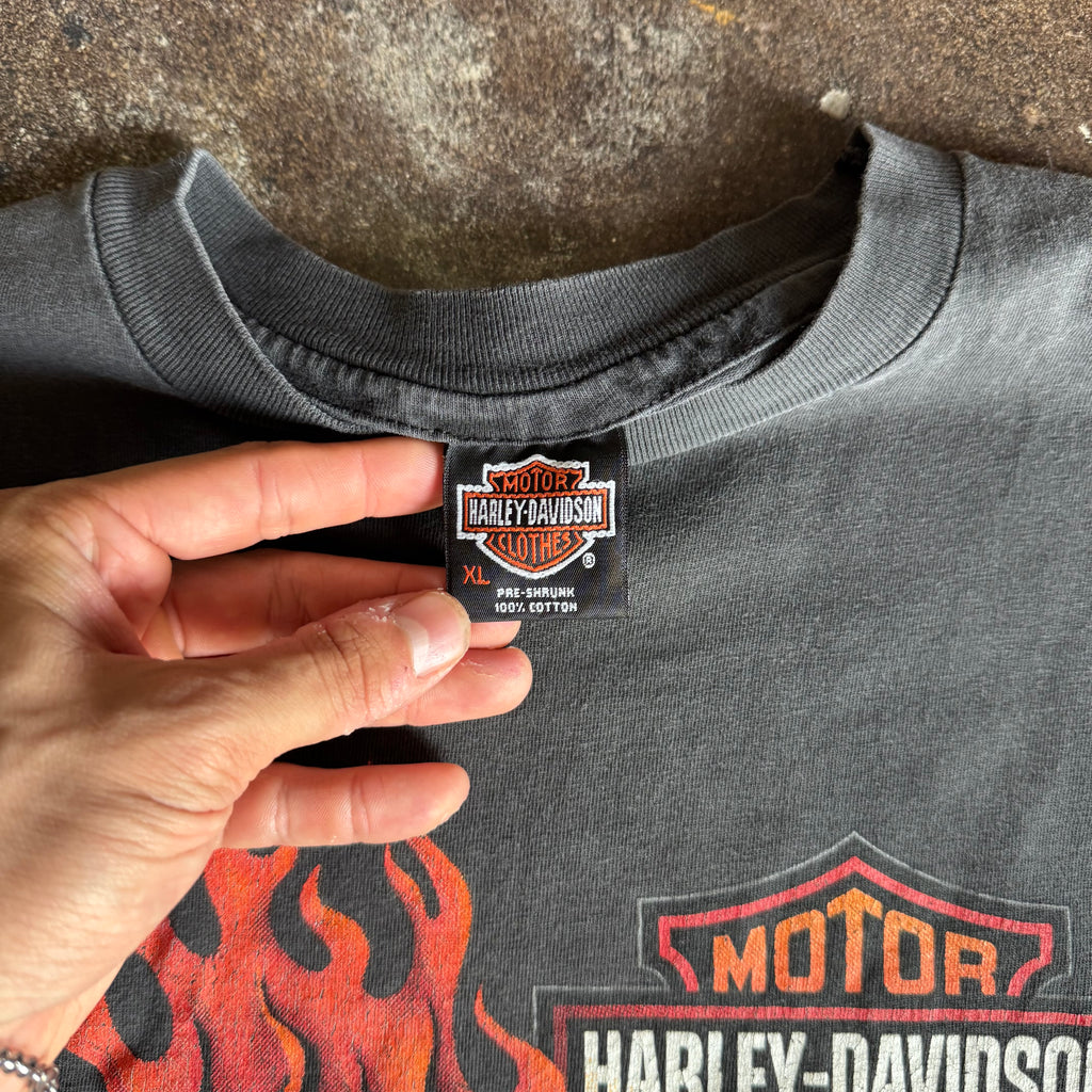 90’s Harley Untamed Tiger Arizona Sun Faded Tee (XL)