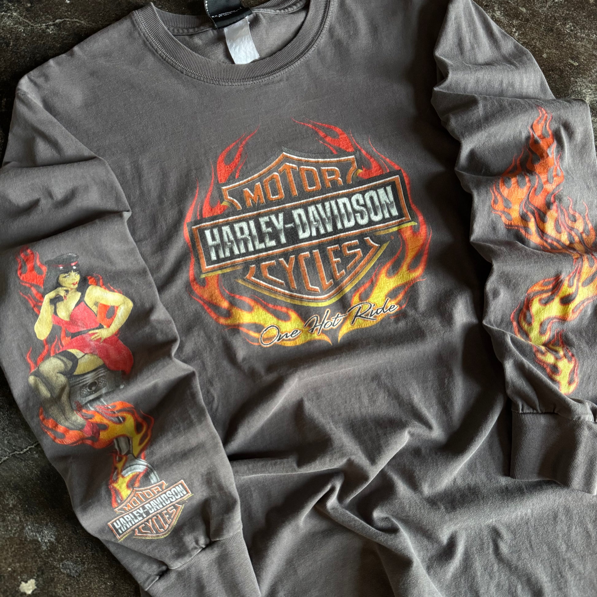 Y2K Harley One Hot Ride Flame Emblem Longsleeve Tee (L)